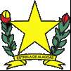 Brasão da cidade de Estrela De Alagoas - AL