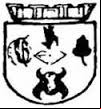 Brasão da cidade de Andarai - BA