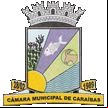 Brasão da cidade de Caraibas - BA