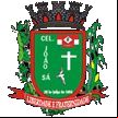 Brasão da cidade de Coronel Joao Sa - BA