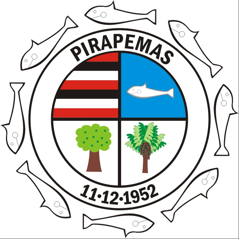 Cidade de PIRAPEMAS - MA 
