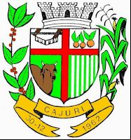 Cidade de CAJURI - MG 