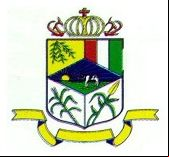 Brasão da cidade de Coroaci - MG