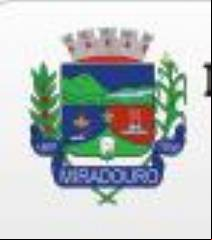 Cidade de MIRADOURO - MG 