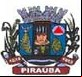 Cidade de PIRAUBA - MG 