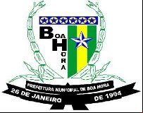 Brasão da cidade de Boa Hora - PI