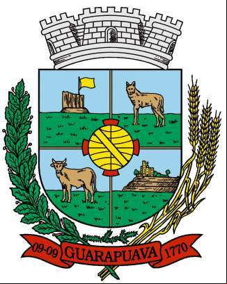 Cidade de GUARAPUAVA - PR 