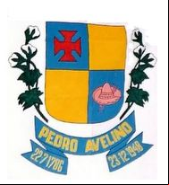 Brasão da cidade de Pedro Avelino - RN