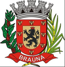 Cidade de BRAUNA - SP 